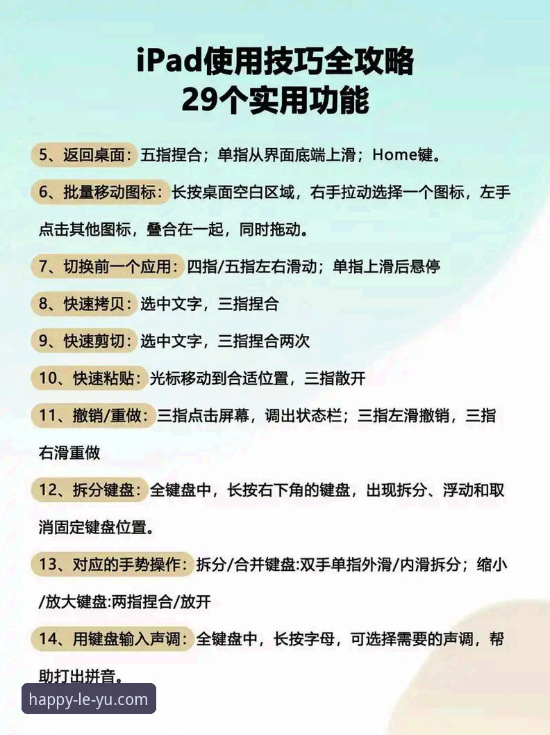 乐鱼体育平台使用心得详解——老用户的真实体验与实用技巧